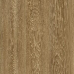 Massif 614 D ARBO