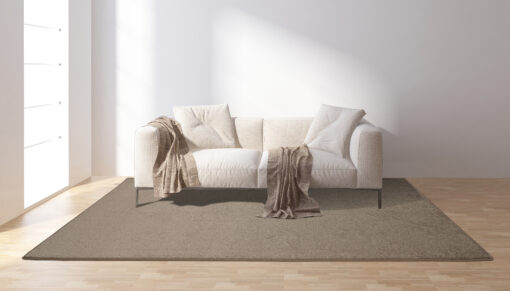 Sofa on carpet in bright room