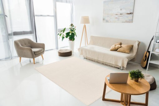 interior of modern living room with laptop, carpet and furniture