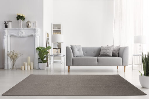 Plants and carpet in white living room interior with candles nex