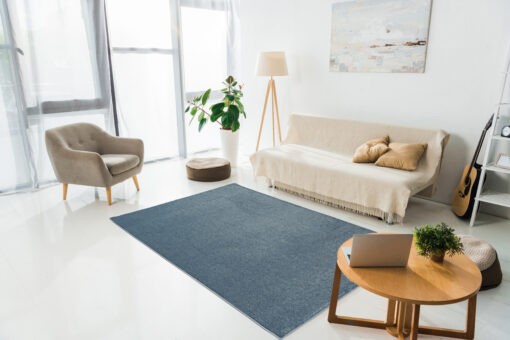 interior of modern living room with laptop, carpet and furniture