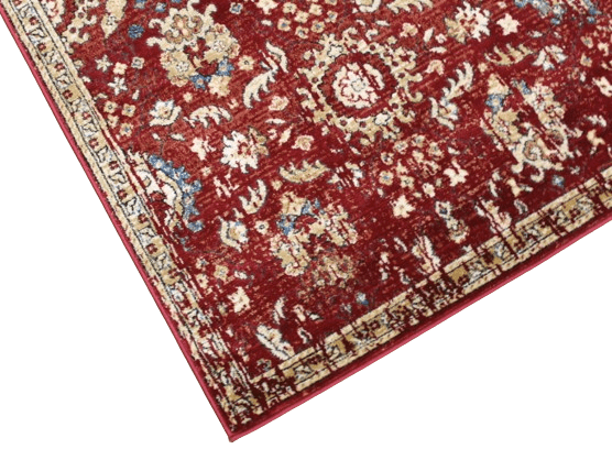 CASTOR 869 RED RED D