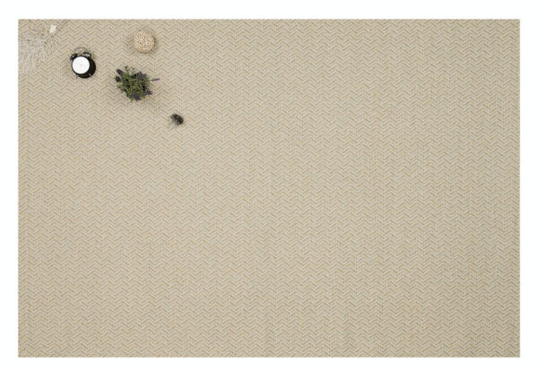 CANVAS 1069F - Image 5
