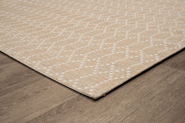 CANVAS 1072D - Image 2
