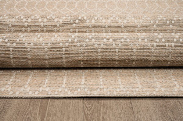 CANVAS 1072D