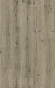 Sweet_Oak_691M